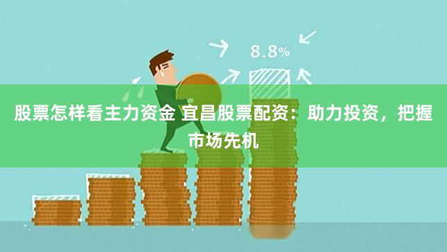股票怎样看主力资金 宜昌股票配资：助力投资，把握市场先机