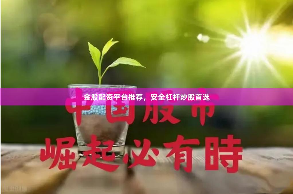 金股配资平台推荐,安全杠杆炒股首选