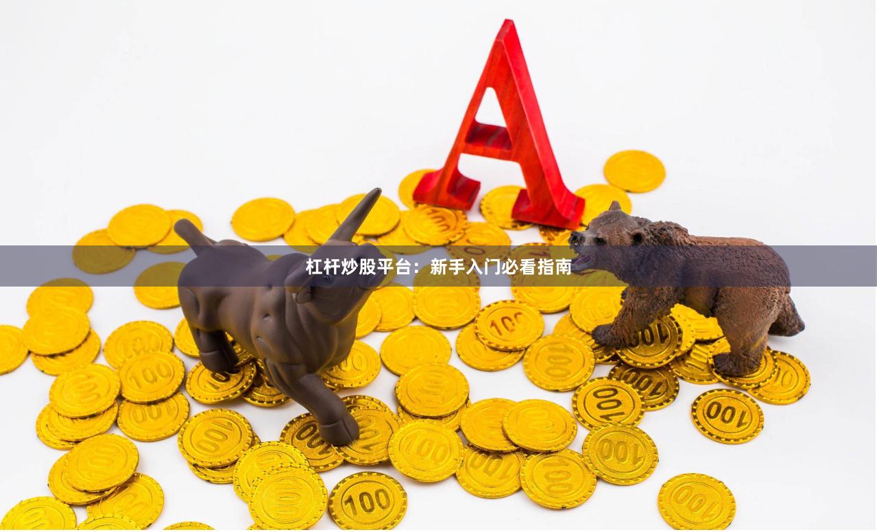 杠杆炒股平台：新手入门必看指南